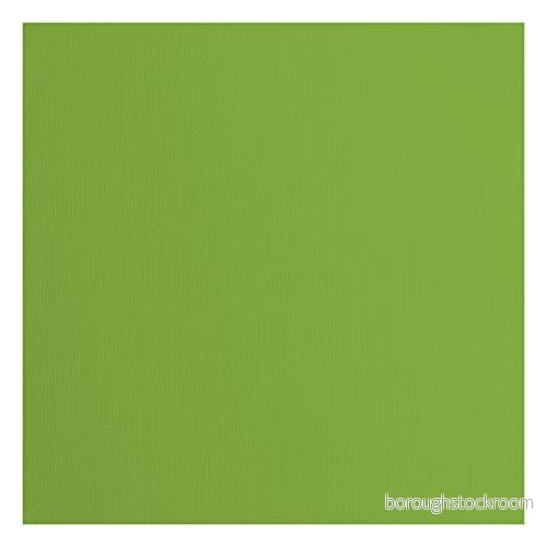 Vaessen Creative Florence cardstock papper, grön, 216 gram/m², kvadratisk, 30,5 x cm, 20 stycken, konsistens, för scrapbooking, korttillverkning, stansning och andra papperslådor 8716052200740