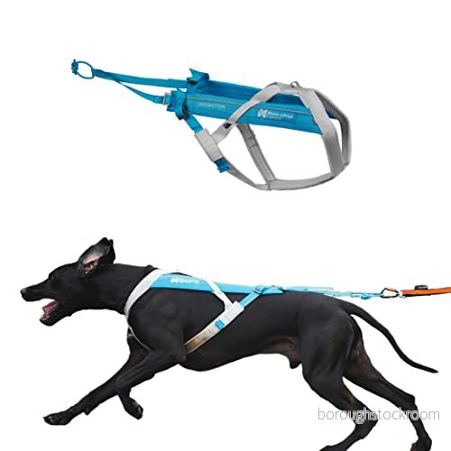 Non-stop dogwear Freemotion Harness 5.0 Blå/Grå Storlek 8 7071652111829