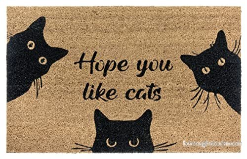Hanse Home Mix Mats kokos dörrmatta för inomhus och utomhusbruk smutssamlande matta natur, kokosmatta utomhus katt, väderbeständig halkfri hall, terrass, entré 45 x 75 cm 4262377776247