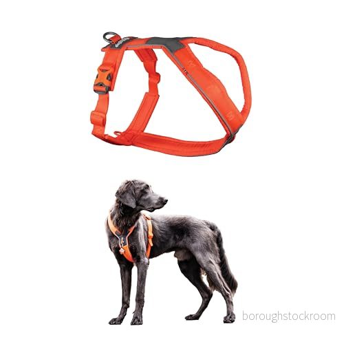 Non-stop dogwear Line Harness 5.0 Orange - 7 7071652021876