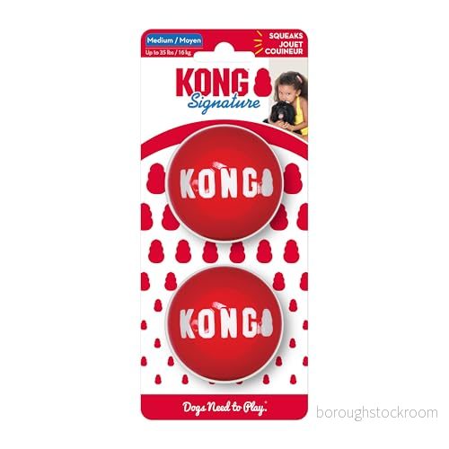 Kong Signaturboll 6 cm 2-pack Apporteringsleksaker 35585476155
