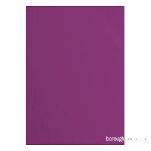 Vaessen Creative 2928 039A4 Florens cardstock papper, lila, 216 gram/m², DIN A4, 10 stycken, konsistens, för scrapbooking, korttillverkning, stansning och andra papperslådor 8716052221707