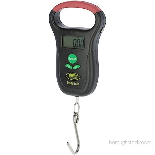 Kerbl 29913 Digiscale 25, digital hängvåg upp till 25 kg 4018653299135