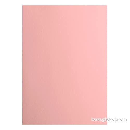 Vaessen Creative 2927 017 Florence Cardstock papper, rosa, 216 gram/m², DIN A4, 10 stycken, slät, för scrapbooking, korttillverkning, stansning och andra pappershantverk 8716052221530