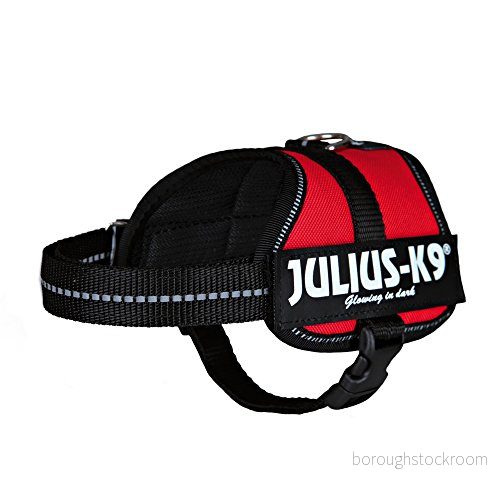 Julius K9,162, strömsladd, 0, Röd 5999053600105