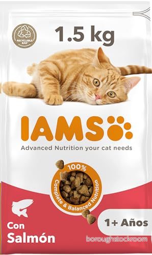 IAMS torrfoder för katter med lax, vuxna över 1 år, 1,5 kg 8710255151762