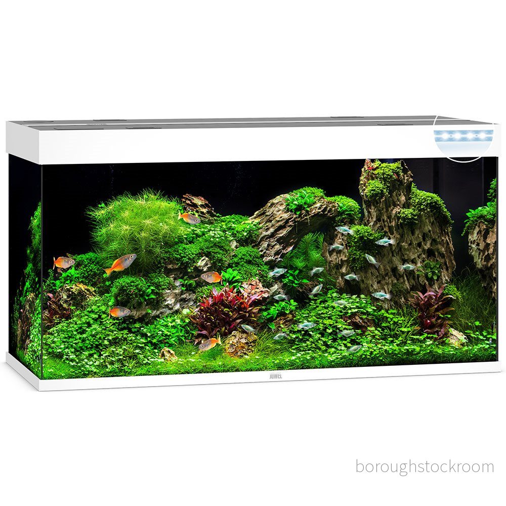 Juwel Rio 350 liter LED Vit 4022573074505