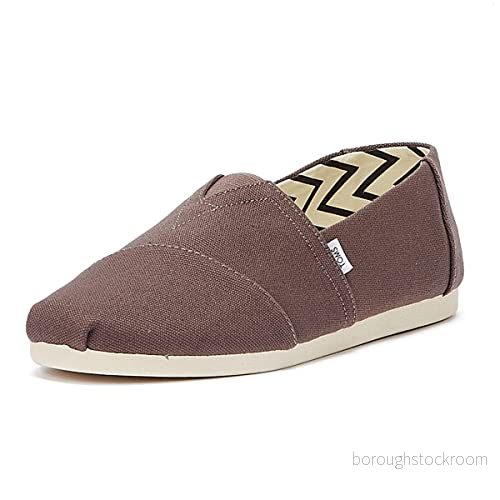 TOMS Alpargata Vegan Sneakers, Storlek: 42, Grey Bomull 195703101557