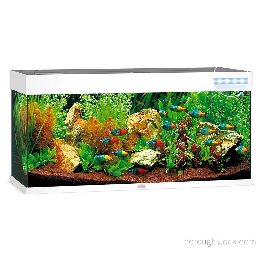 Juwel Rio 240 liter LED Vit 4022573034509