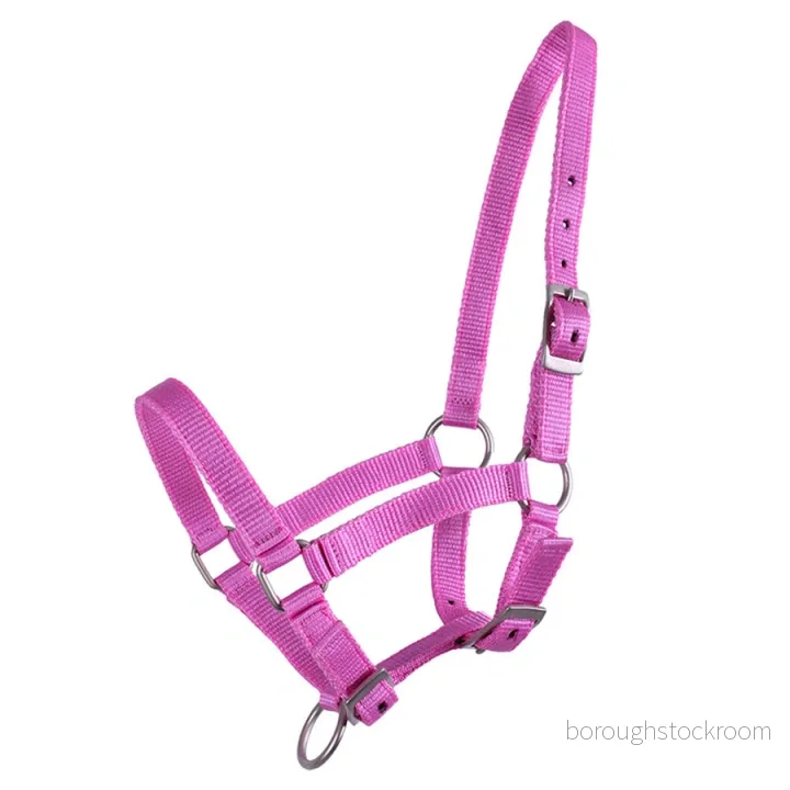 Halter for foal QHP 8718274348415
