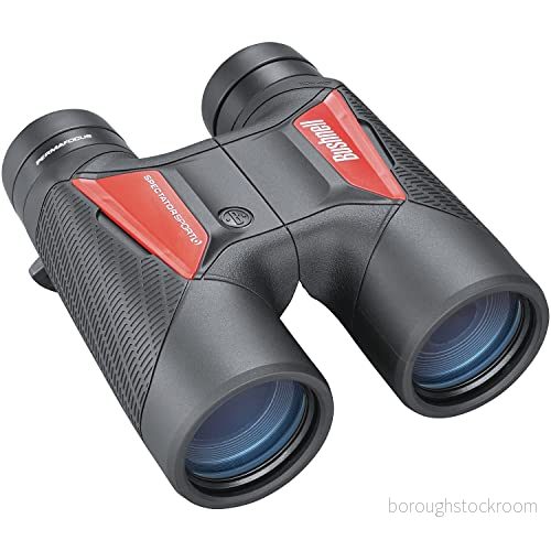 Bushnell Spectator Sport 10 x 40 Svart Takprisma PermaFocus Färgade plattor Fågelskådning Sightseeing Resa Djurliv Utomhus Kikare BS11040 29757002754