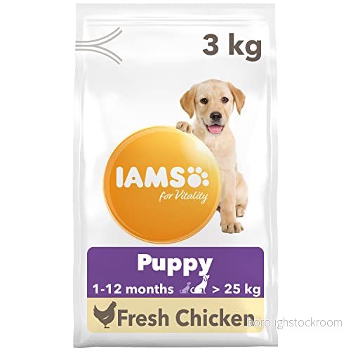 IAMS Junior hundmat torr med kyckling valpmat för valpar i åldern 112 månader, lämplig stora raser, 3 kg 8710255128061