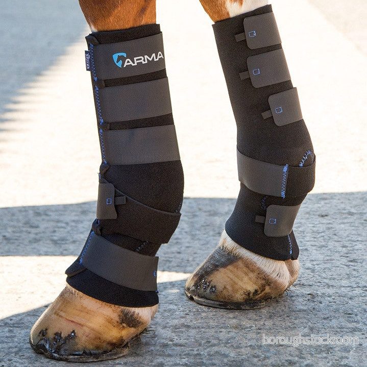 Arma Deluxe Damasker Och Dressyrskydd Till Häst 5051771460826