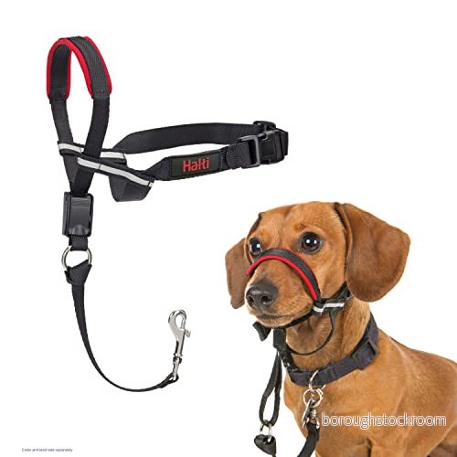 HALTI Optifit huvudsele, liten storlek förhindrar att din hund drar i kopplet, enkel justering, lätt, med vadderad näsrem, anti drag krage för små hundar 886284124201