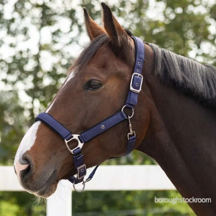 Halter QHP Deluxe 8718369265153