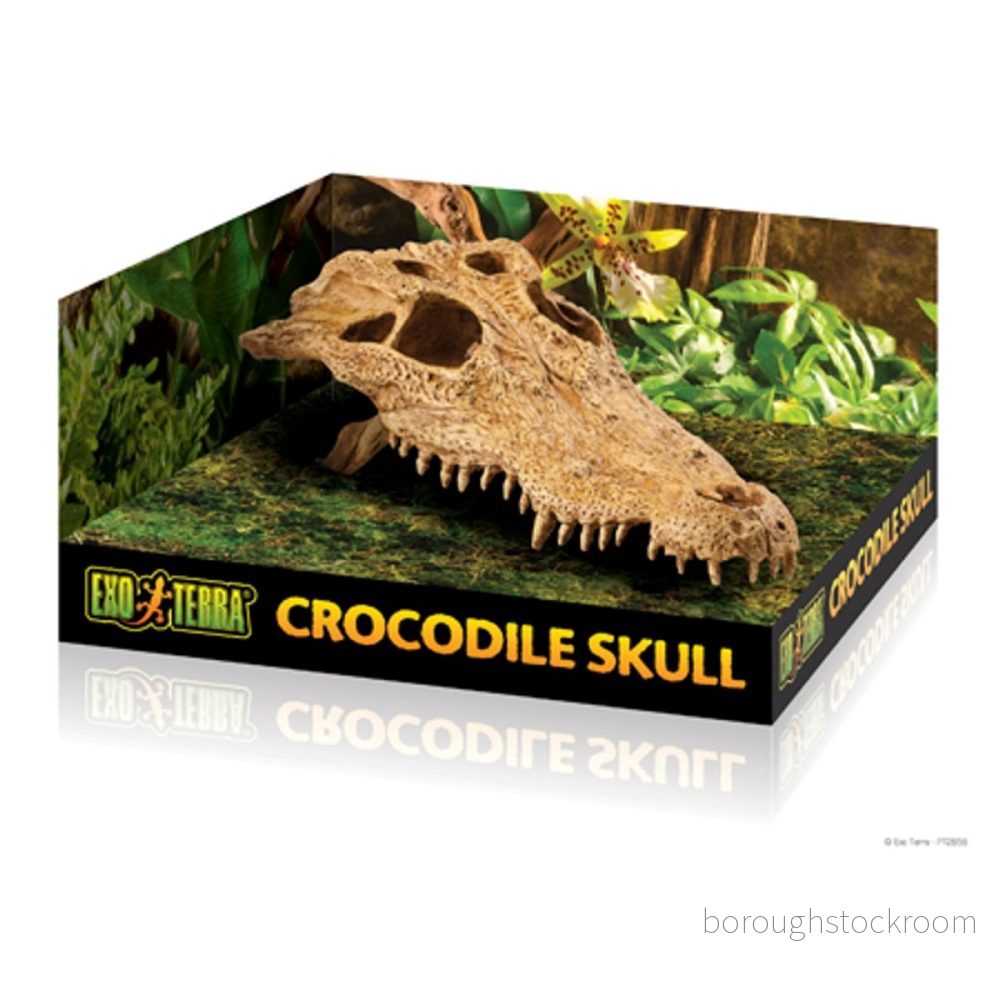 Exo Terra Krokodil Kranium 15561228565