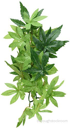 Exo Terra Abutilon Small 15561230322