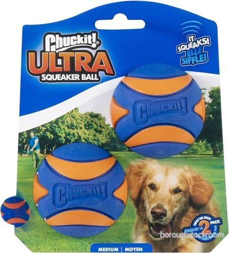 Chuckit Ultra Squeaker Ball M 6 cm 2 pcs. 29695330681