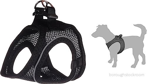 Flamingo Step&Go Bento Hundsele svart M A:30 35 cm B:41 44 x 3 mm Justerbar med reflekterande ränder Perfekt för Dvärgspets, Malteser, Yorkshire & Toypudel 5400585208429