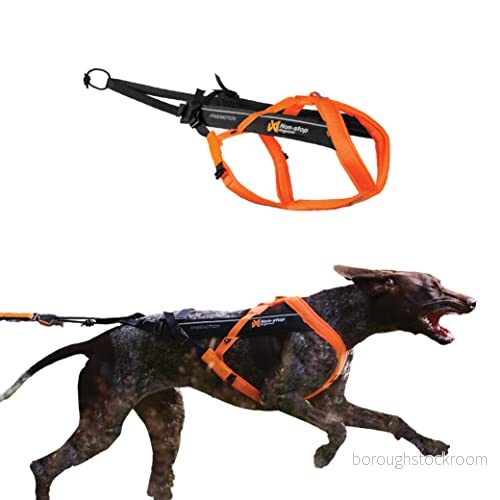 Non stop dogwear Freemotion sele 5.0, justerbar dragsele för hund inom sporter som löpning, cykling och skidåkning med hundar. Orange/Black, Storlek 8 7071652111812