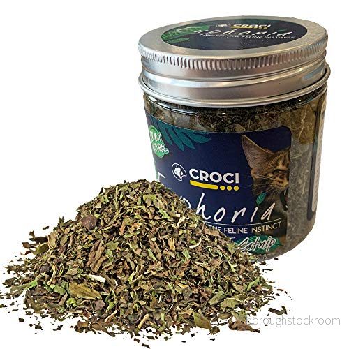 Croci Euphoria Catnip glas, ätbar kattmynta, för katter, 25 g 8023222229723