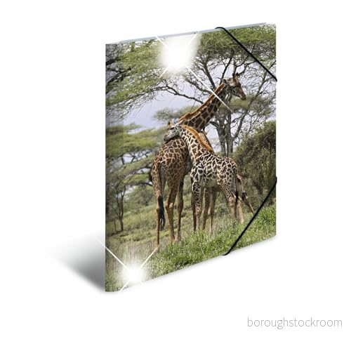 Herma 19332 samlarmapp DIN A3 djur giraff av stabil plast med högglanseffekt och tryckta innerfickor, gummikappa, hörnnyckelmappa, 1 teckenmapp för barn 4008705193320