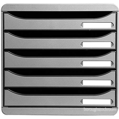 Exacompta BIG BOX PLUS 5-facks piedestal för A4+ dokument - Ljusgrå 9002493421707