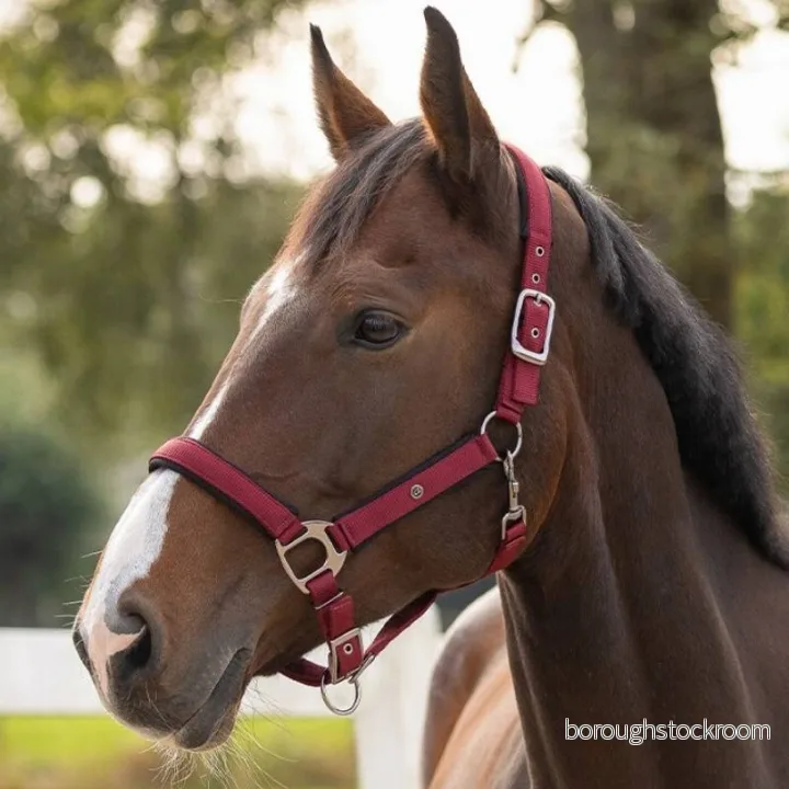 Halter QHP Deluxe 8718369284697